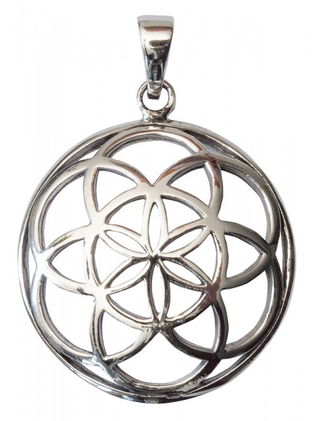 Anhänger Saat des Lebens Bronze versilbert 4,7g 2,5cm