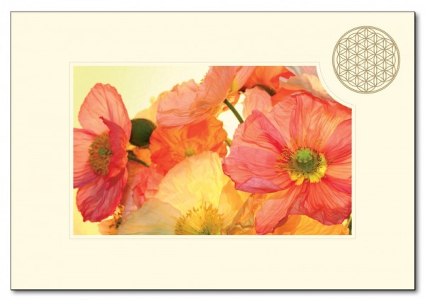 Klappkarte BdL Mohnblume orange 11,5x16,7cm (mit Kuvert B6)
