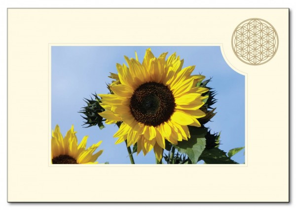 Klappkarte BdL Sonnenblume 11,5x16,7cm (mit Kuvert B6)