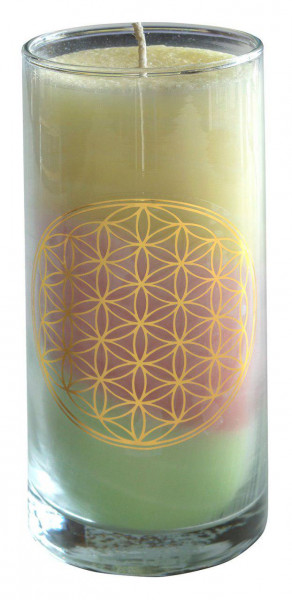 Kerze "Dream BDL" im Glas Stearin 14cm pastell