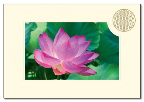Klappkarte BdL Lotusblüte 11,5x16,7cm (mit Kuvert B6)