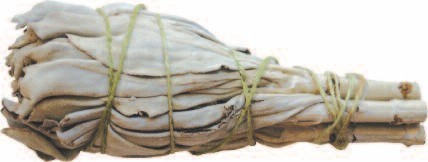 Räucherstick Weisser Salbei Smudge 10cm